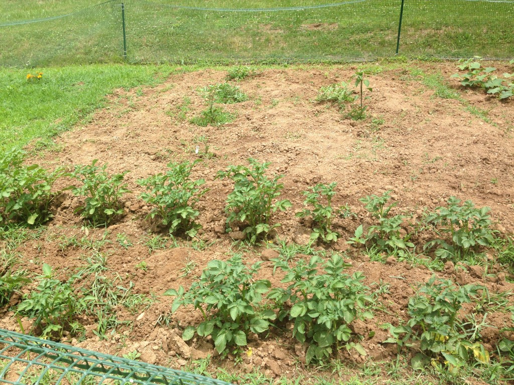 This plot belongs to Larry, 14.