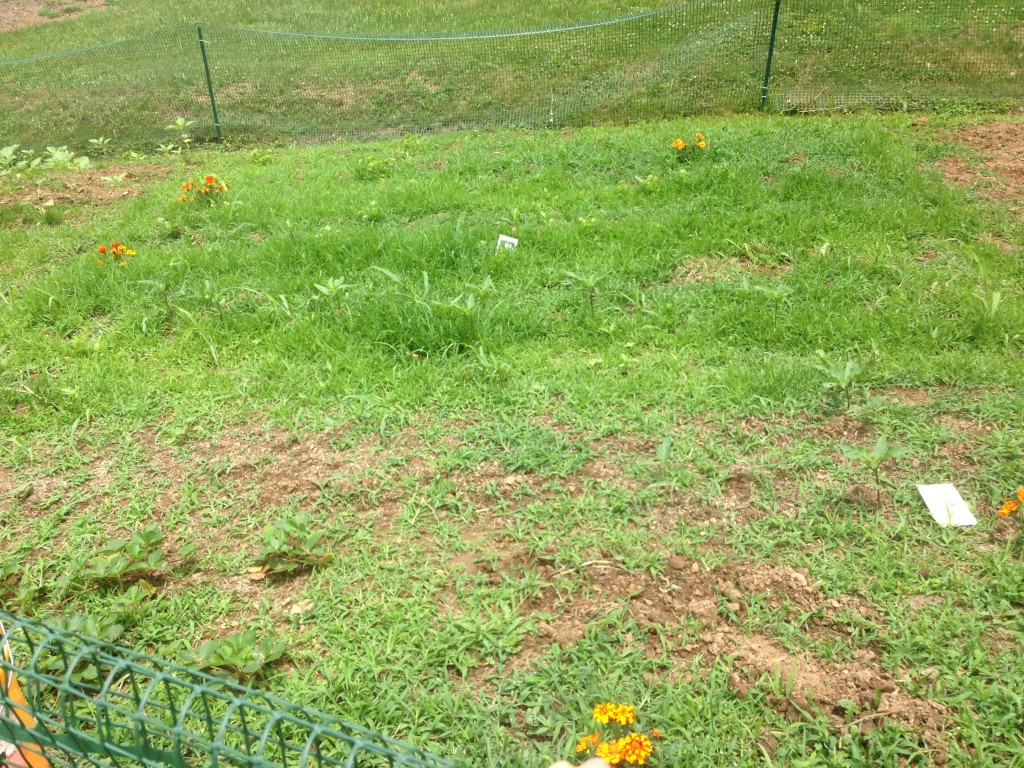 This plot belongs to Mo, 11