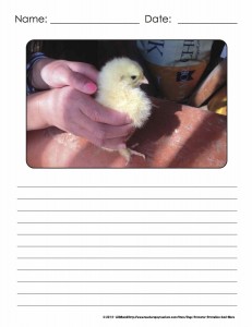 WritingPrompts.FarmLifePage1