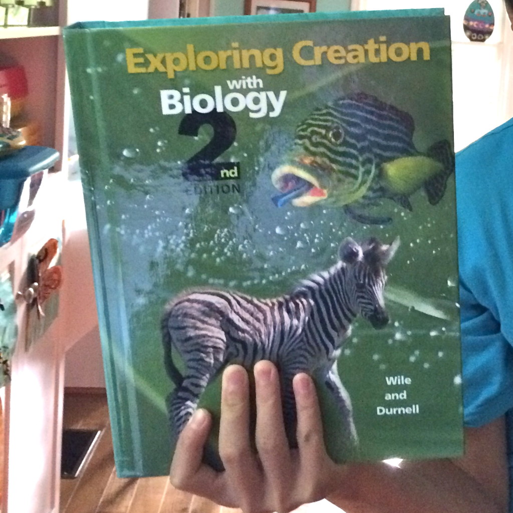 IMG_5525 - Version 2